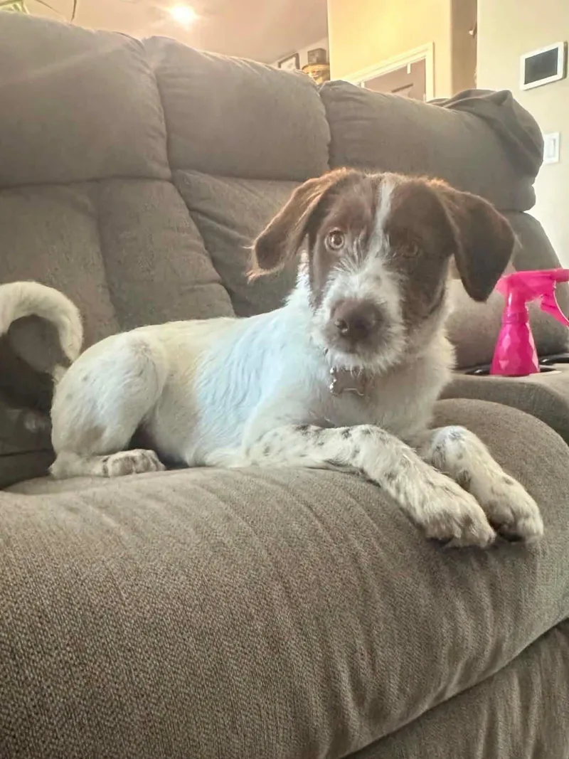 Leia aka Ellie