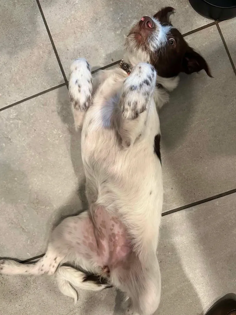 Leia aka Ellie thumbnail 2