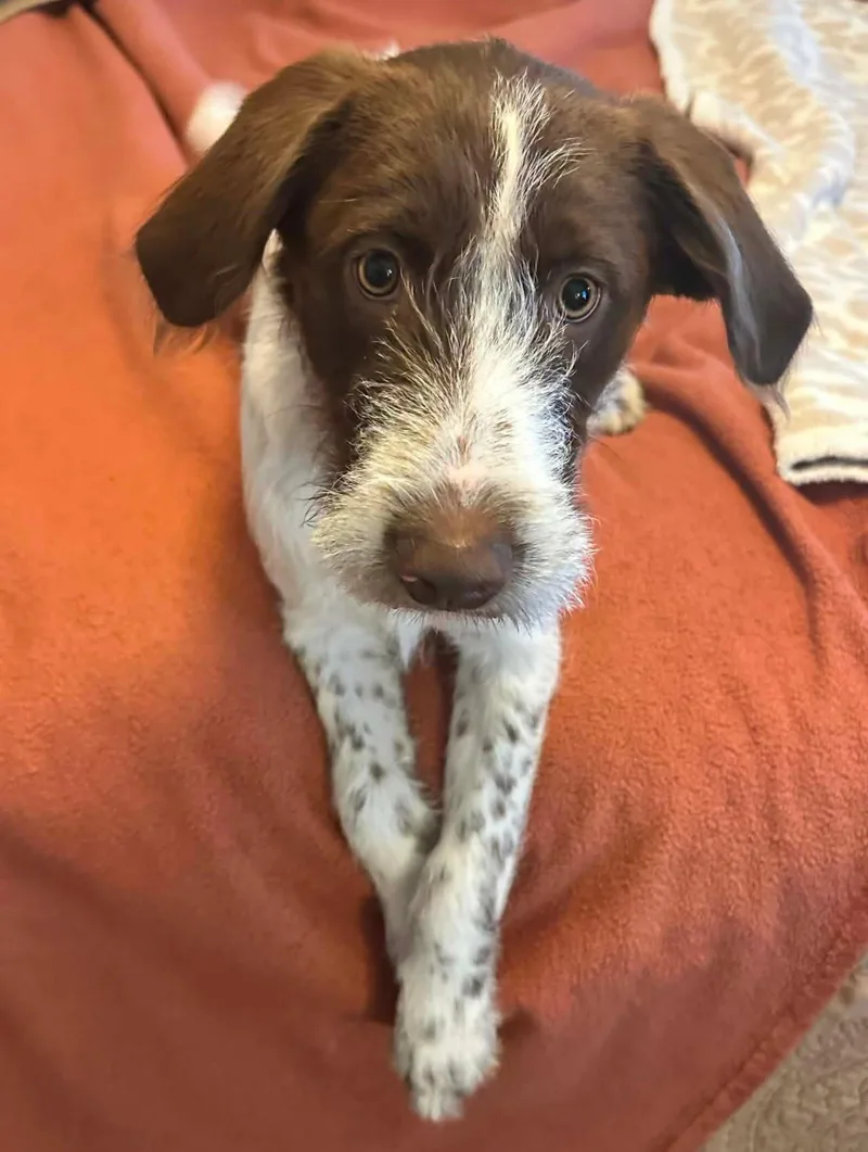 Leia aka Ellie thumbnail 3