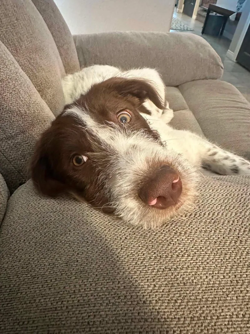 Leia aka Ellie thumbnail 4