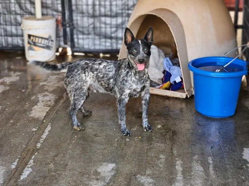 Poseidon thumbnail 4