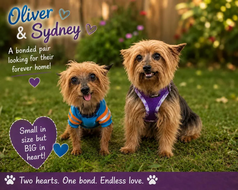 Oliver & Sydney