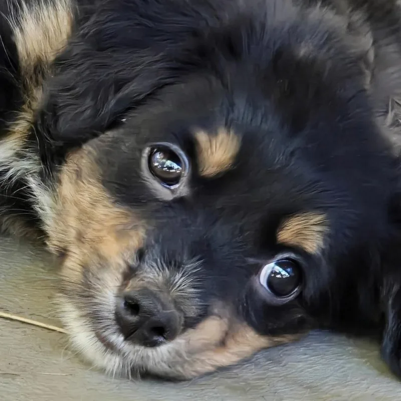 Sally thumbnail 4