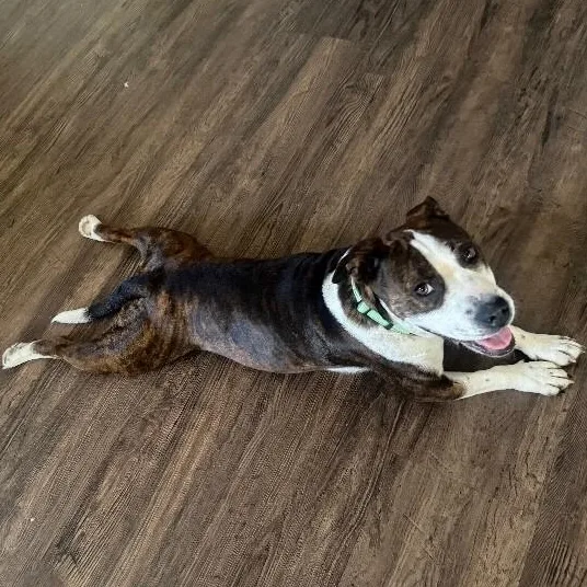 Maggie Mae thumbnail 2