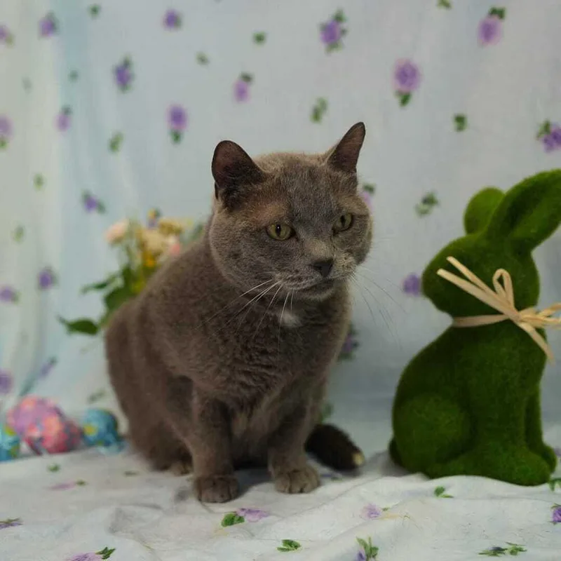 Ice Ice Baby thumbnail 2