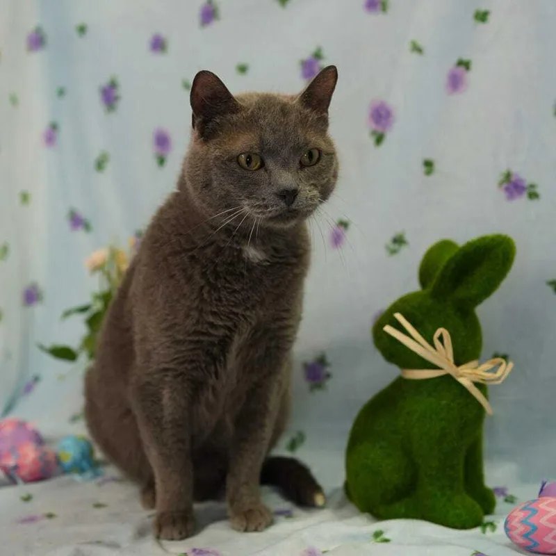 Ice Ice Baby thumbnail 3