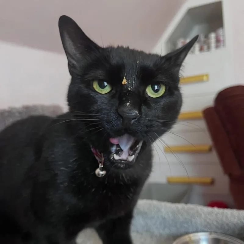 Ralphie