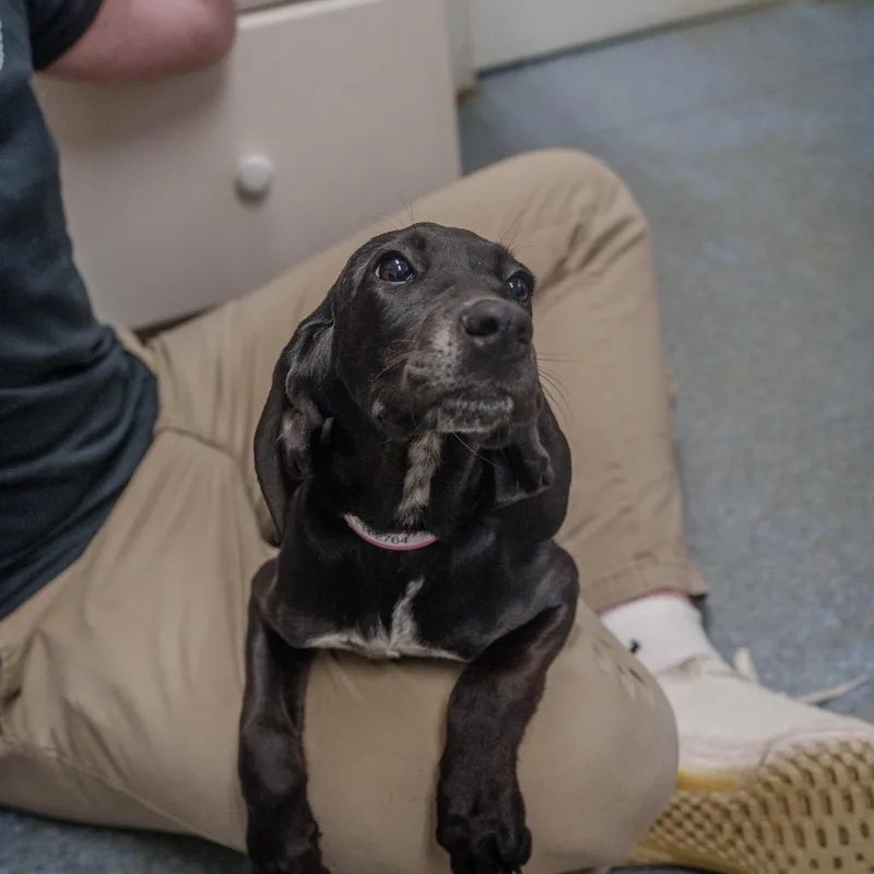 Spaghetti thumbnail 2