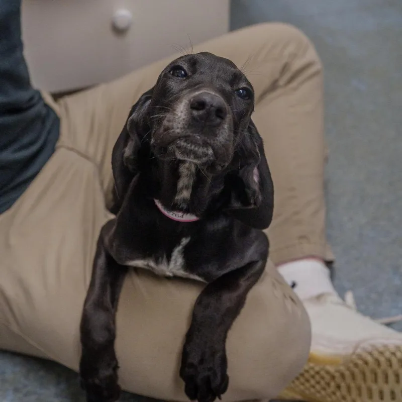 Spaghetti thumbnail 3