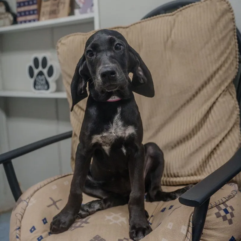 Spaghetti thumbnail 6