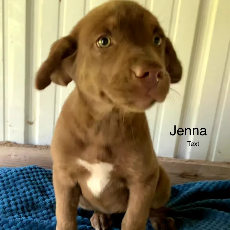Jenna thumbnail 2