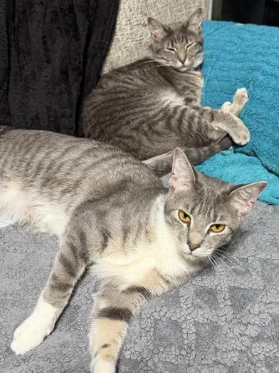 Linus & Pearl thumbnail 5