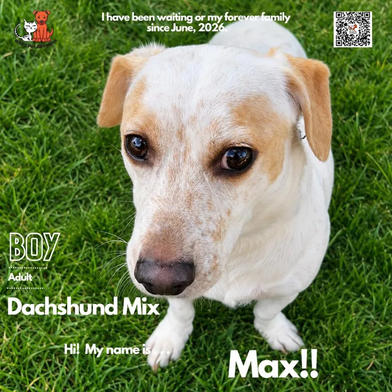 Max