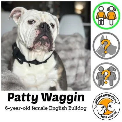 Patty Waggin thumbnail 2