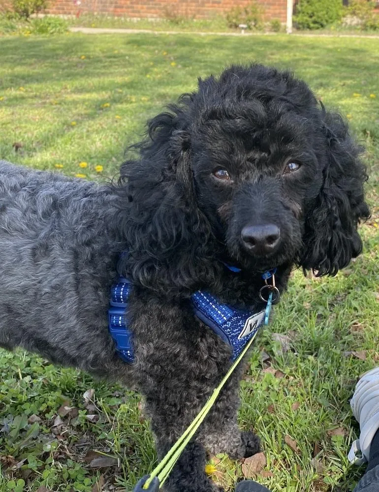 Gus Gordon Ky thumbnail 2