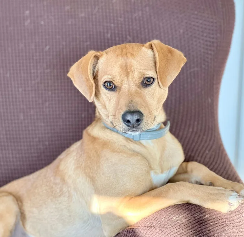 Skittles thumbnail 2