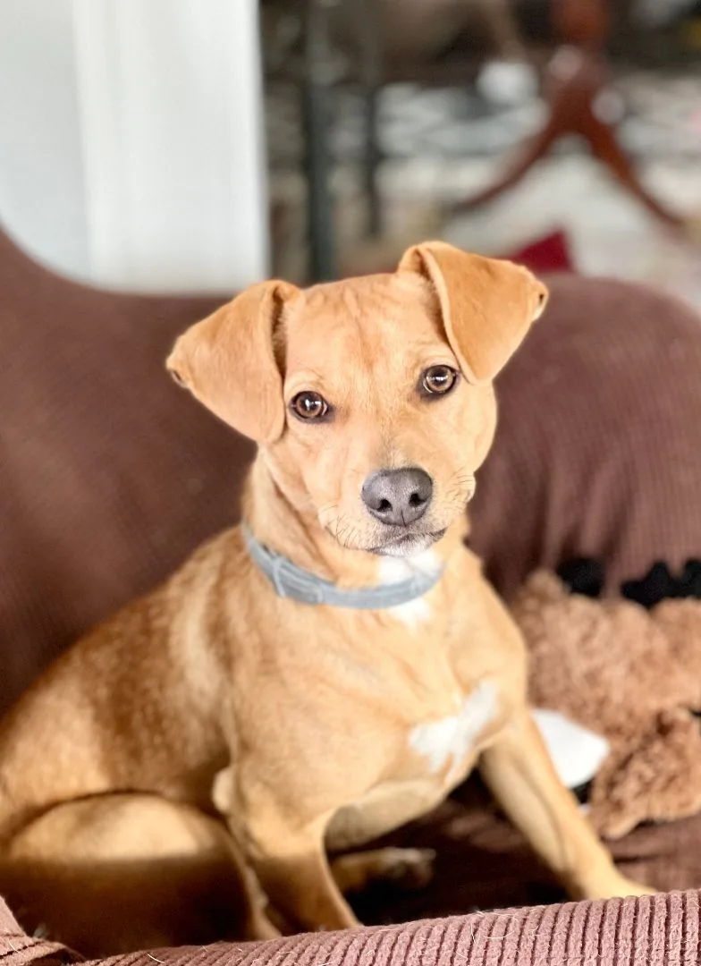 Skittles thumbnail 3