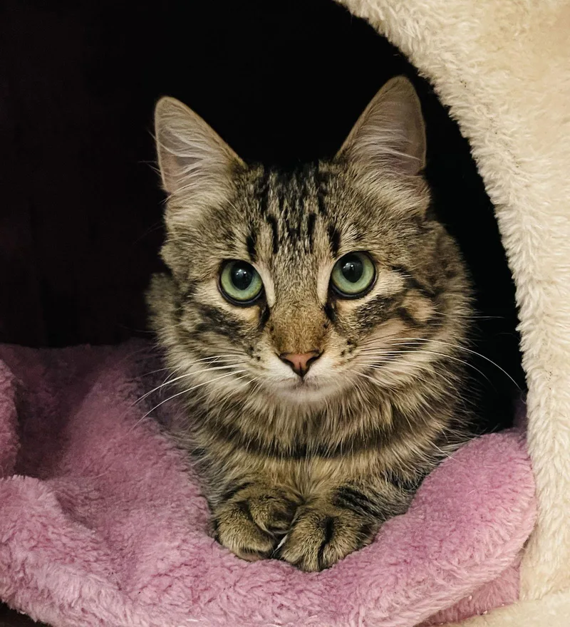 Freckles And Hudson thumbnail 2