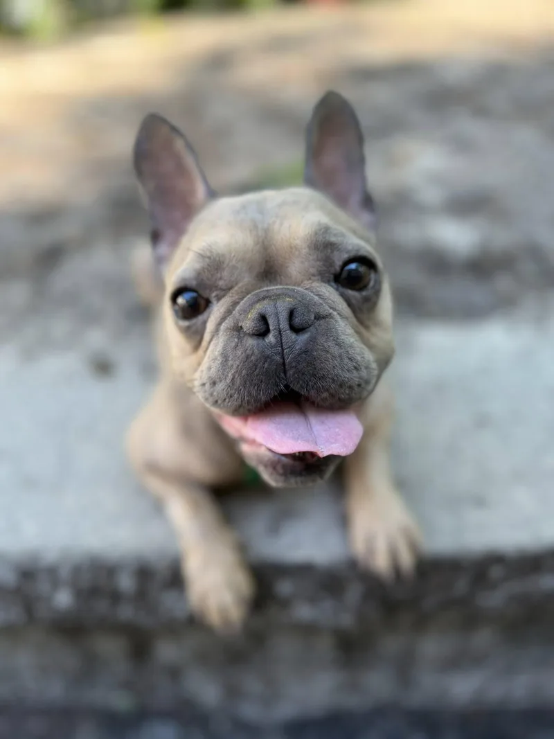 Mocha thumbnail 3
