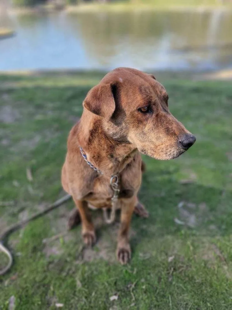 Mr. Charlie! thumbnail 2