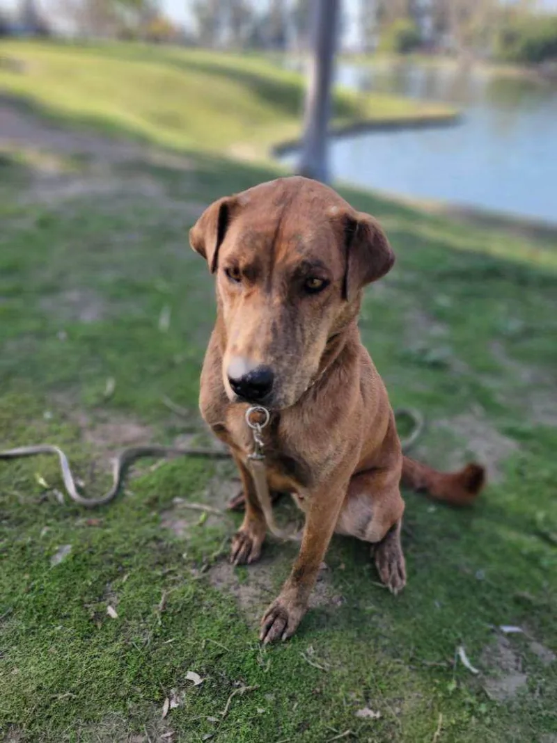 Mr. Charlie! thumbnail 3