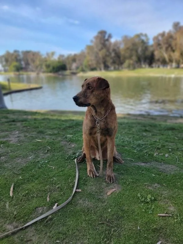 Mr. Charlie! thumbnail 4