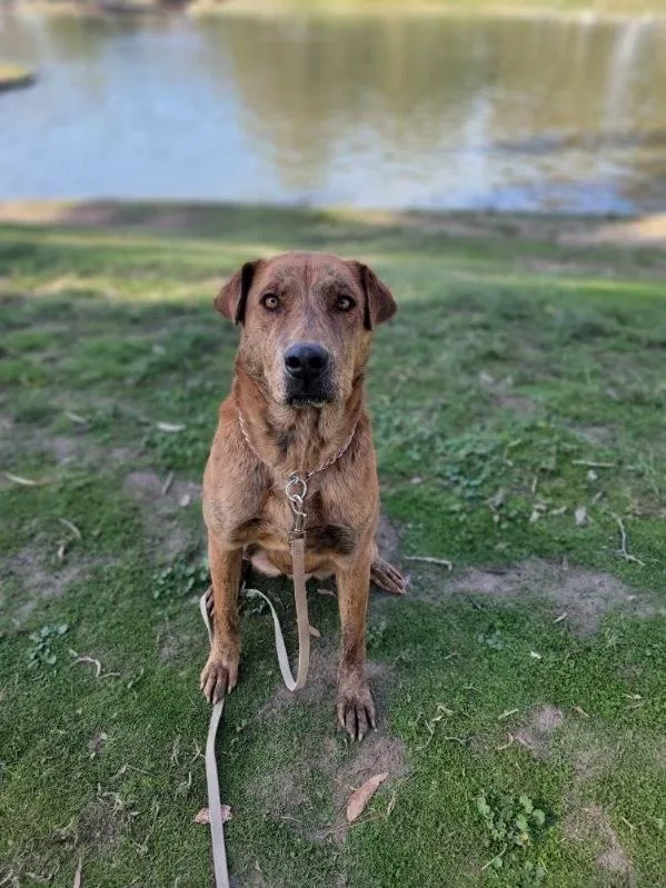 Mr. Charlie! thumbnail 6