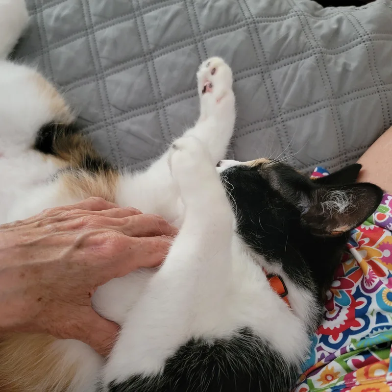 Maggie thumbnail 2