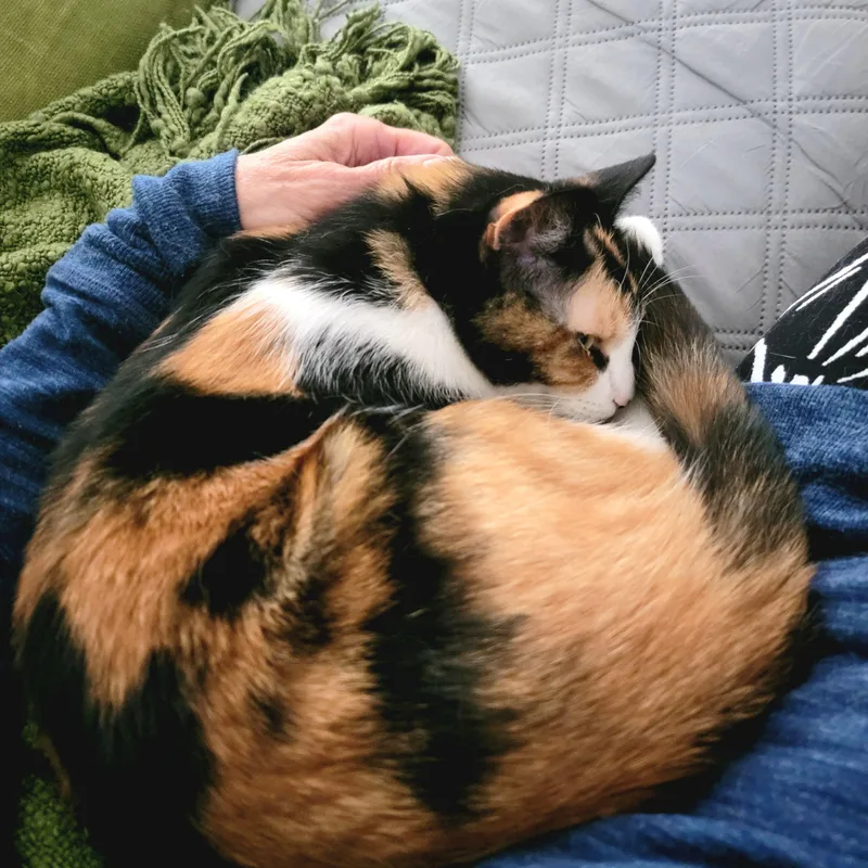 Maggie thumbnail 3