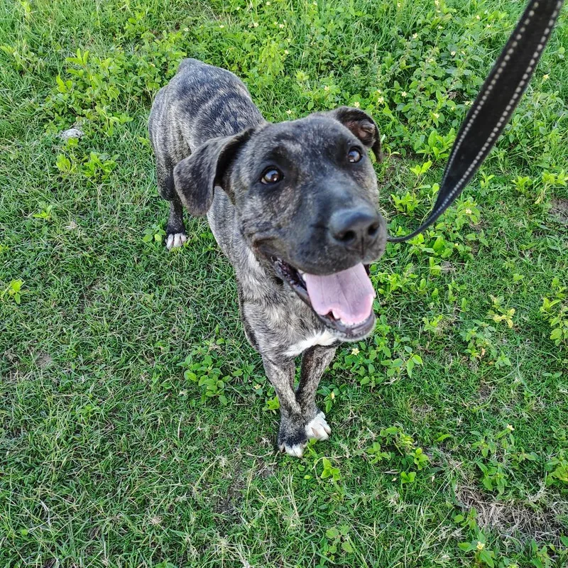 Sofia Marie " Sofi" thumbnail 3