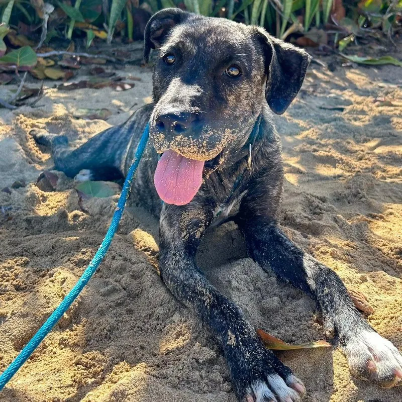 Sofia Marie " Sofi" thumbnail 5