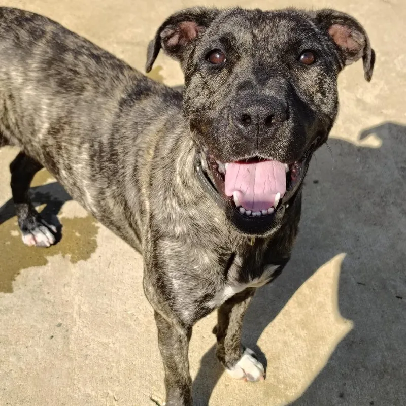 Sofia Marie " Sofi" thumbnail 6