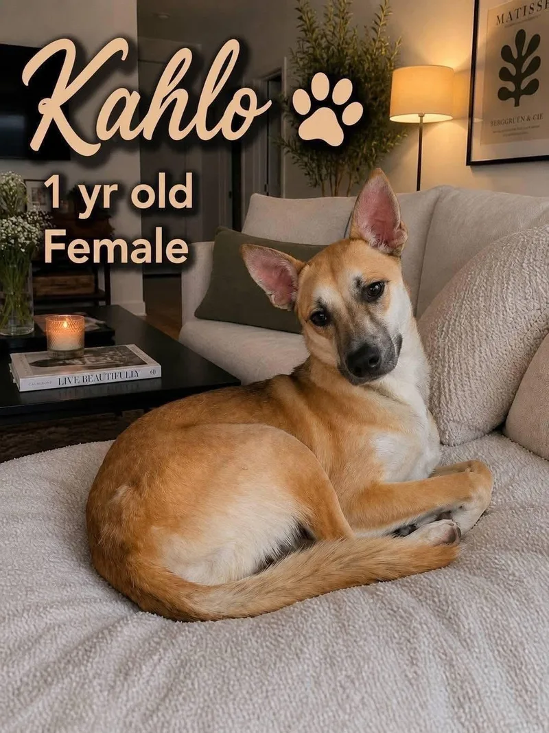 Kahlo thumbnail 6