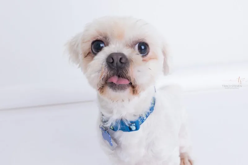 Sammie thumbnail 2
