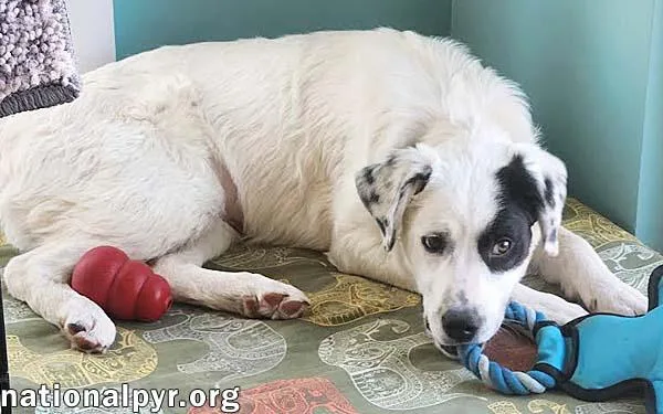 Laney In Oh  thumbnail 2