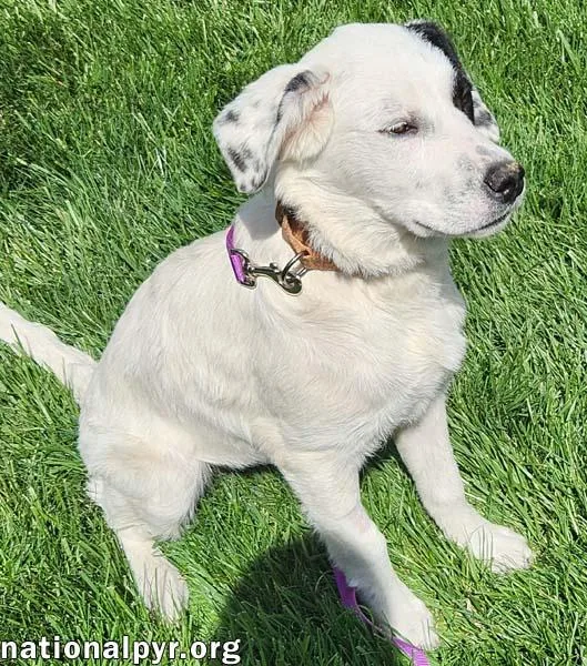 Laney In Oh  thumbnail 3