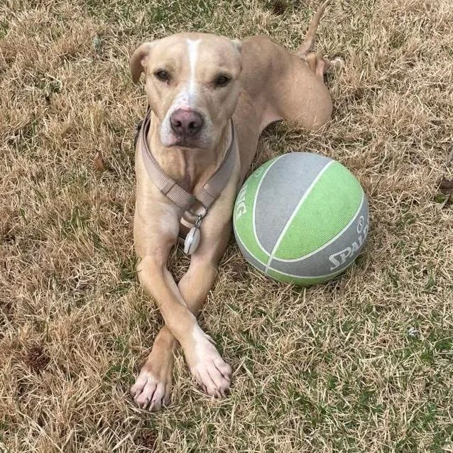 Paddington thumbnail 5