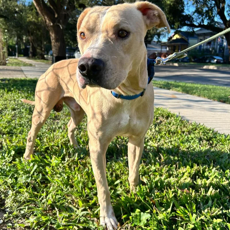 Paddington thumbnail 6