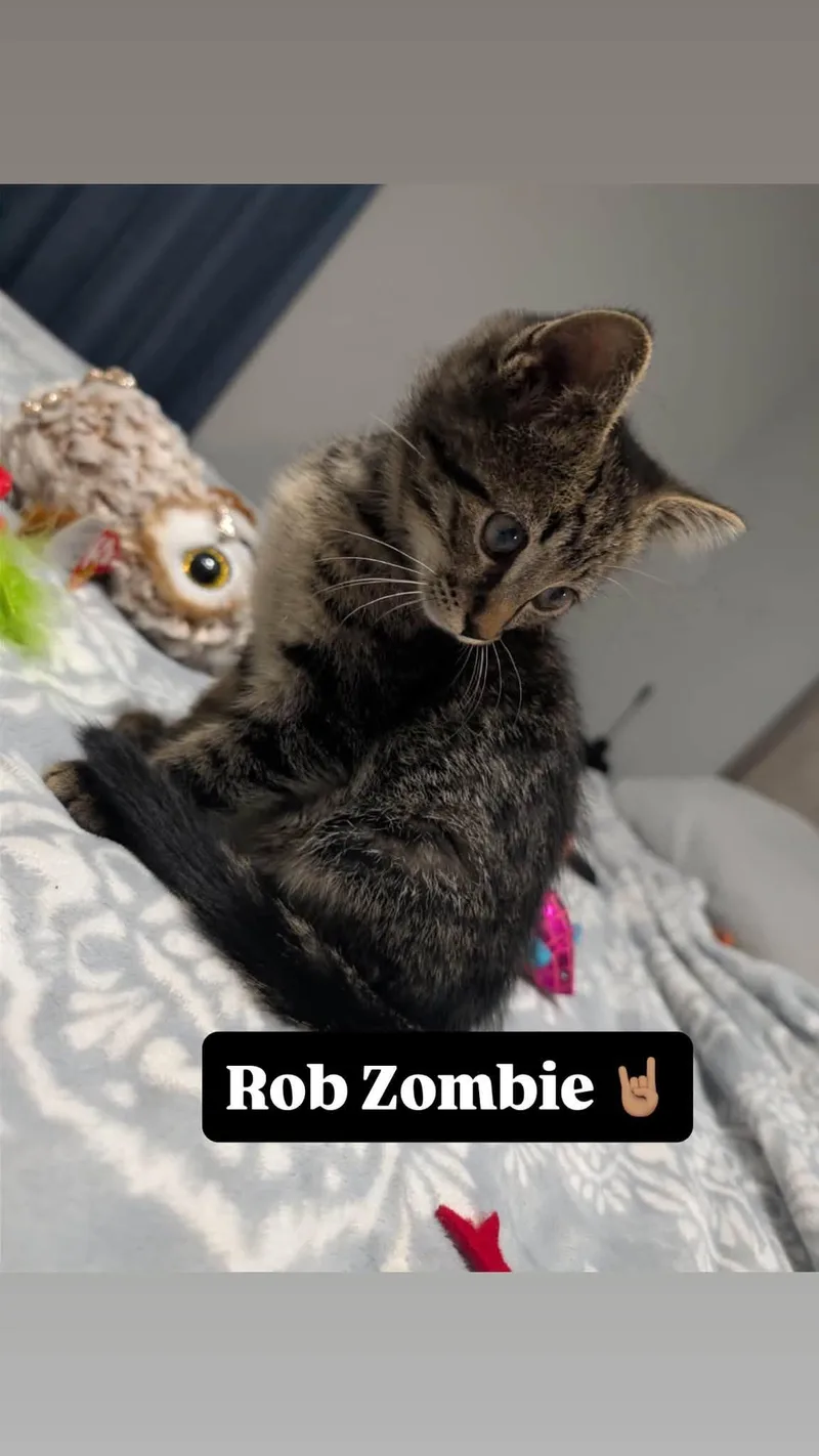 Rob Zombie