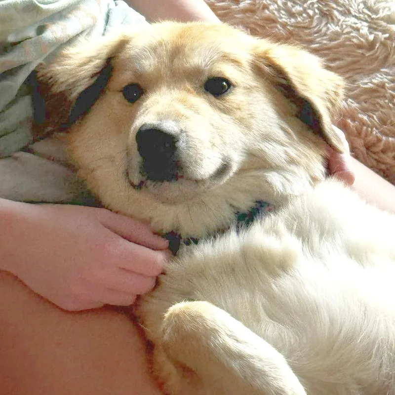 Honey Bun thumbnail 2