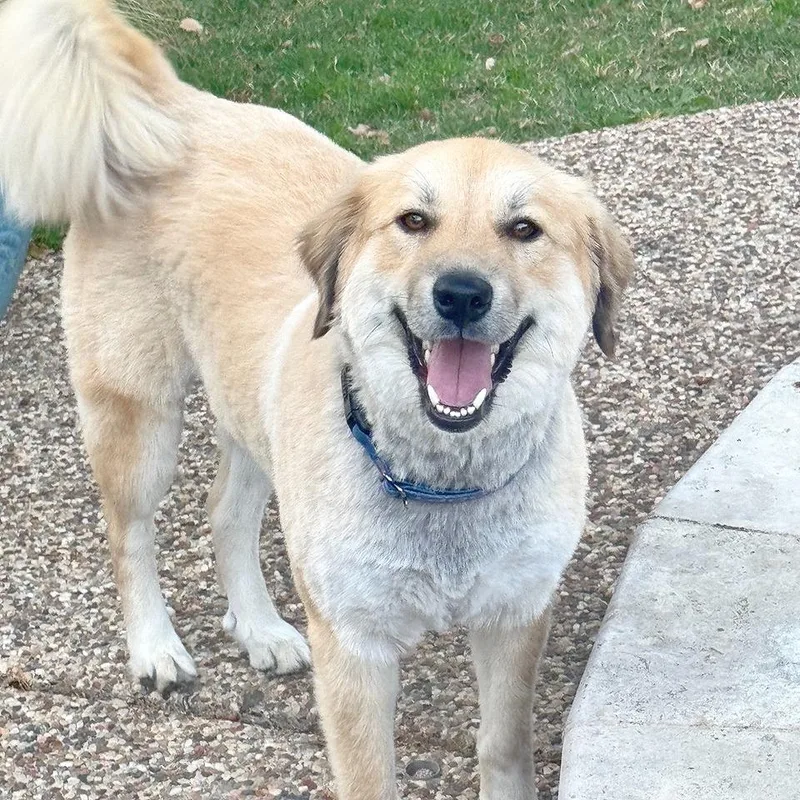 Honey Bun thumbnail 4