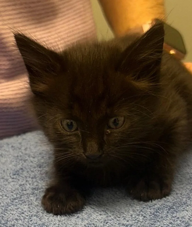 Precious