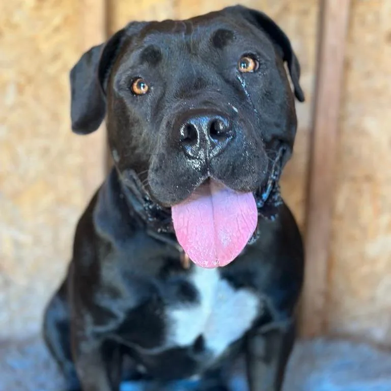 Winifred thumbnail 4