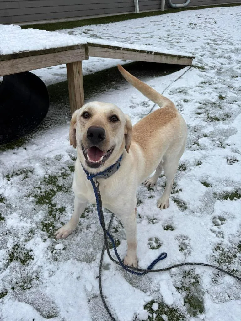 Lightning thumbnail 2