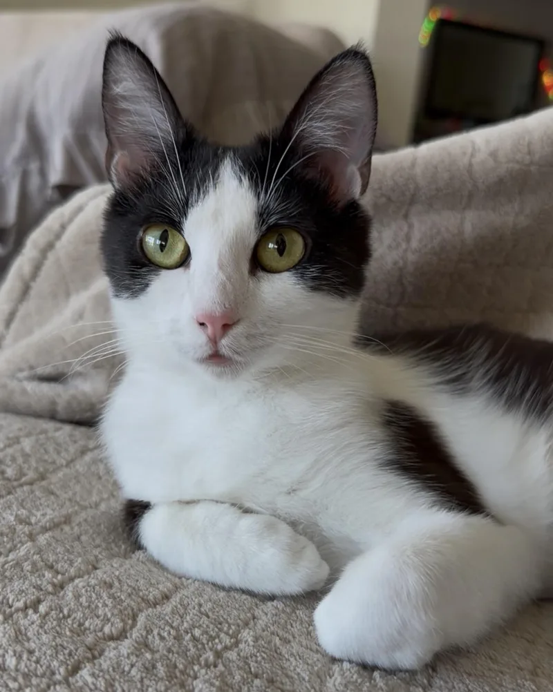 Lulu thumbnail 5