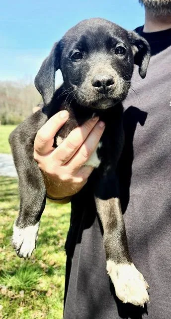 Fritz Famous thumbnail 2