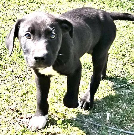 Fritz Famous thumbnail 3