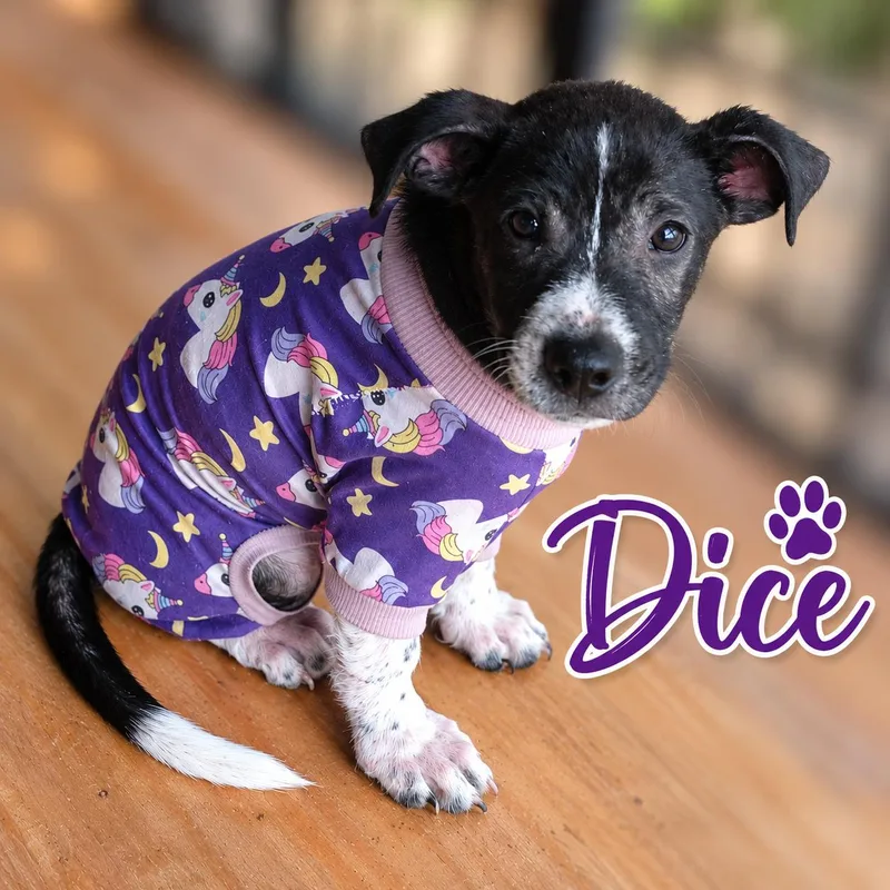 Dice thumbnail 3