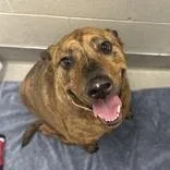 Daisy Mae thumbnail 2