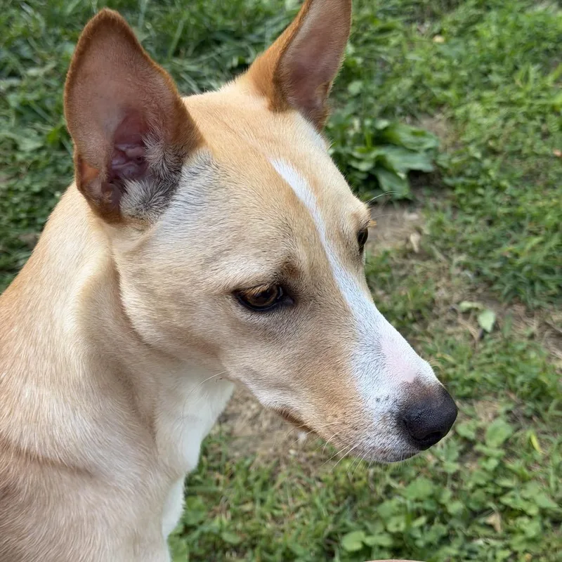 Lola thumbnail 3